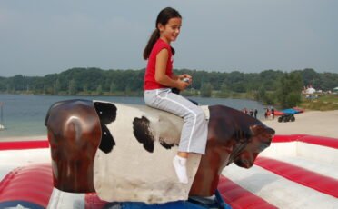 Artiesten en acts